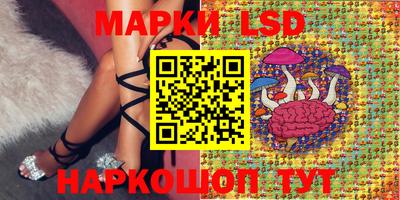 стафф Славгород