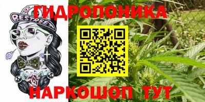 бошки Славянск-на-Кубани
