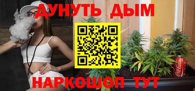 стафф Славгород