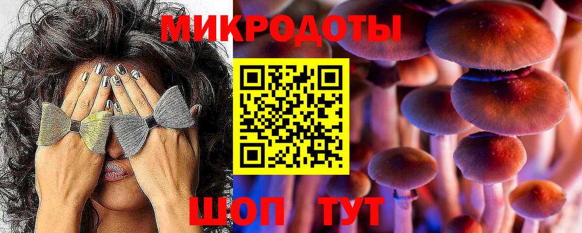 Псилоцибиновые грибы мицелий Новодвинск