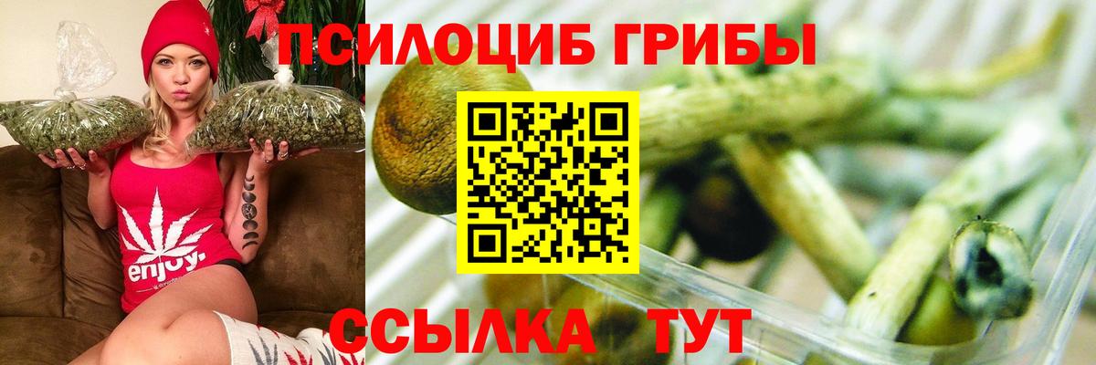 Новодвинск  наркота  Вход с VPN  Галлюциногенные грибы MAGIC MUSHROOMS 